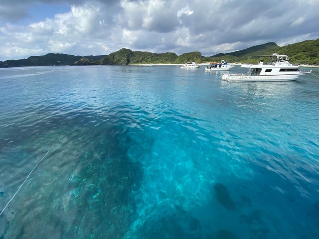 �c�Ǌԏ����A�A�Y��I_R-MATES Okinawa Diving Club