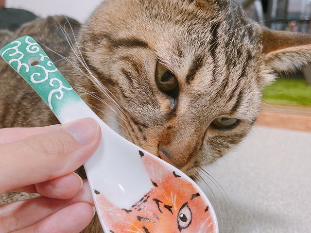 L̎ʐ^ȂGt܂B
FČ͓̂łˁB_MC|H[dokay