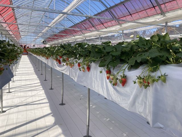 ��Ɏ��₷�������ł�_����X�g���x���[�t�@�[��