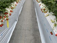 ۂ̓̃T[}䕈ꉏւ̓eʐ^1