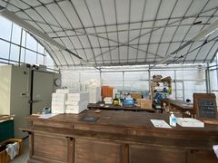 ₷݂brown crewւ̓eʐ^1