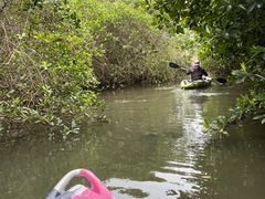 simanekỏ}NbNւ̓eʐ^1