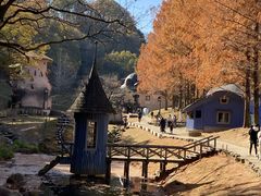 g[xE\ڂ̎qǂ̐X̎ʐ^1