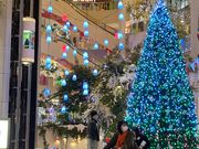 hotaruBIG STEP̓eʐ^1