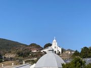 �E�b�L�[����̓V�����U���I�ق̓��e�ʐ^1