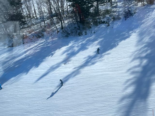 �Q�����f_�D�y���ۃX�L�[��