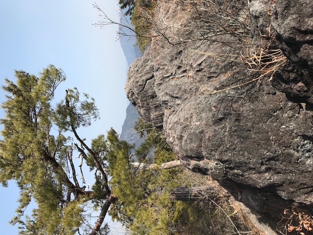 �����A�ڗ��R�B�W���������̂ŕ�����܂���B�i�ς͔��ɗǂ��B_�P�����R