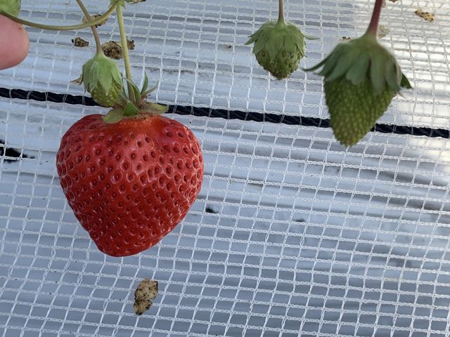 �`���Y��ł��������̂��������񂠂�܂����I_�}�G�����t�@�[��