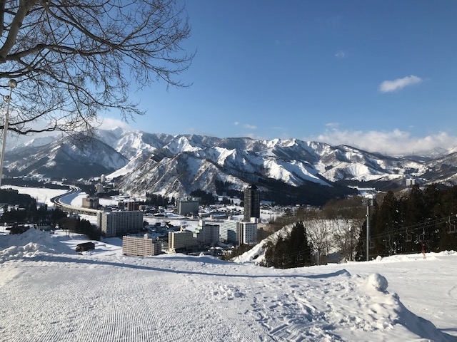 ���߂��T�C�R�[�I_�⌴