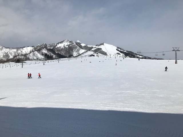 �Q�����f�L�X�I_�⌴