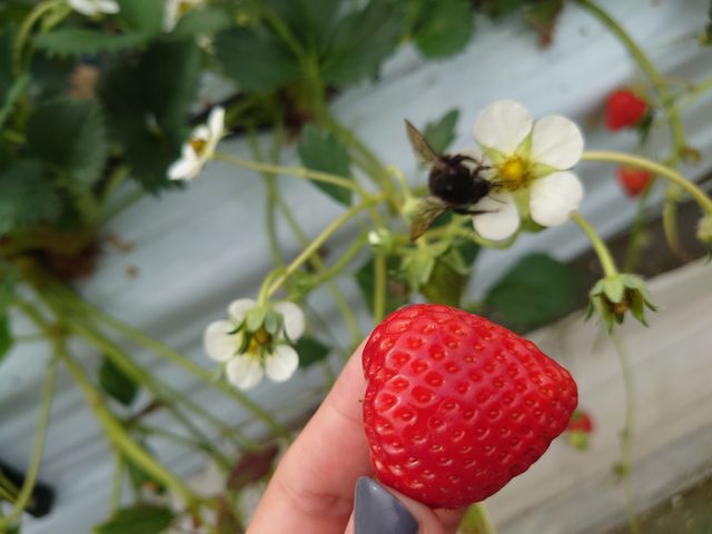 �Y��Ȃ�����_�����ʎ��H�[