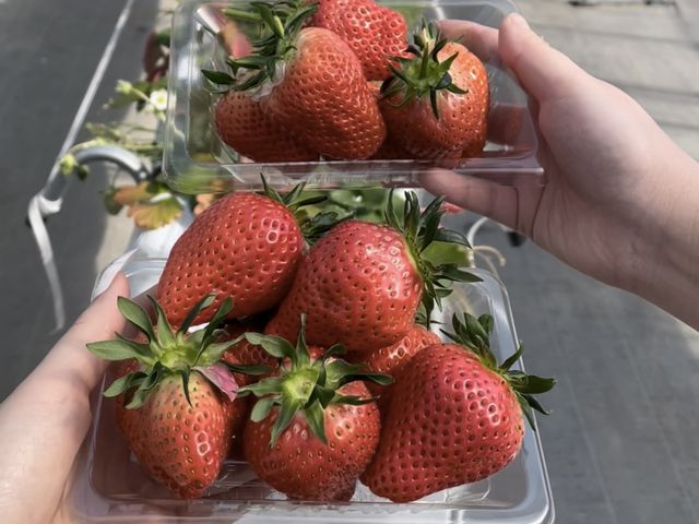 ���������������ł����܂łƂ�܂����B_��傤����