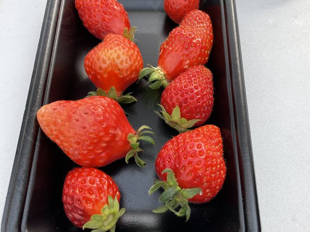 �Ȃɂ��Ă����������������܂���_�����킹�͂��邢�����_��HappyComeCome