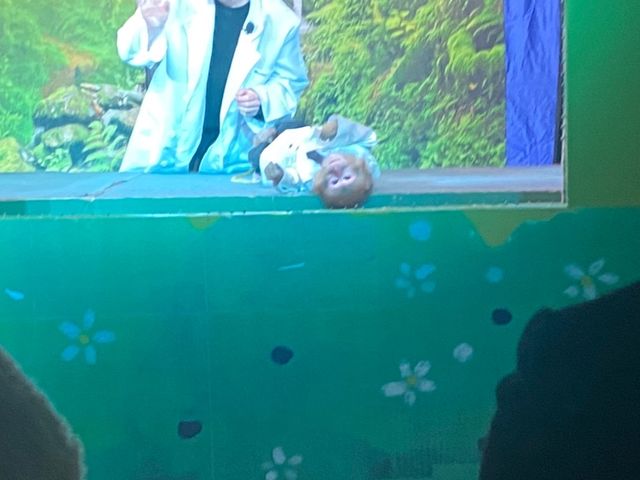 �����̉���_�����郉���h���A�j�^�E��