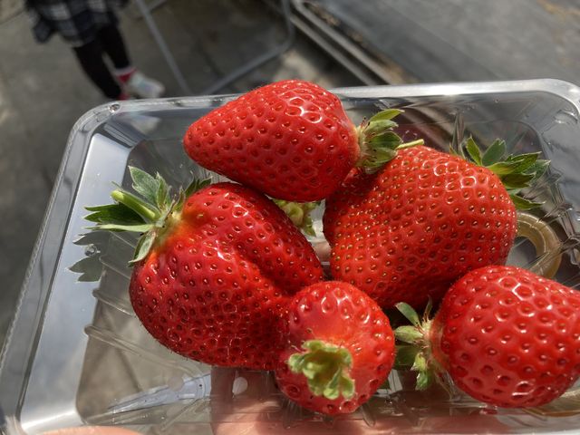 �^���ԂȂ���_��t�@�[���i��-����-�j