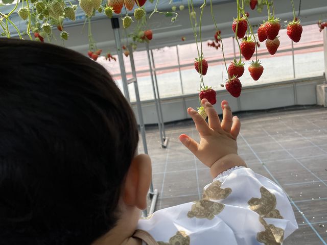 �^���ԂȂ������ɑ勻���̑��q_�������C�ӂ̂��������s���F�t�F�����t