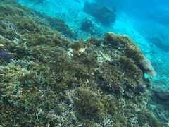 marine assist DEMIւ̓eʐ^1