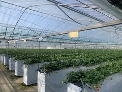 ȂȂ̕ct@[@x[ւ̓eʐ^1