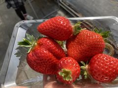 ܂̈t@[i--jւ̓eʐ^1