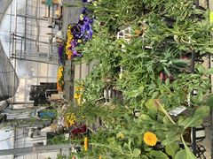 ݂邭̃nCt[@C`Sgւ̓eʐ^4