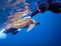 zCg[Ỹ}VbvΊ_Ί㐿ւ̓eʐ^1