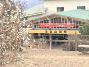 harusu̕oR[vEFC̓eʐ^6