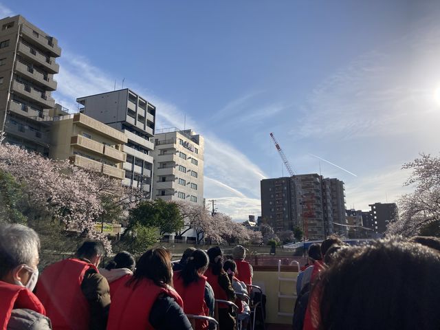 �剪���k�シ�郉�o�[�N���[�Y_���N�g���x��