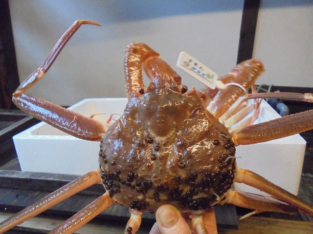 ���t���Ɂ@�������Ă��炤�ƃY�b�V���Əd���B_�J�j�\�����G������h�@������