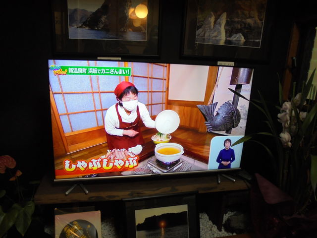 �n��TV�ǂł����f_�J�j�\�����G������h�@������