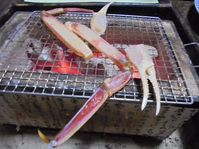 ɂ̑Ă@ĂƑ悪sNsNƓ_Jj\Gh@