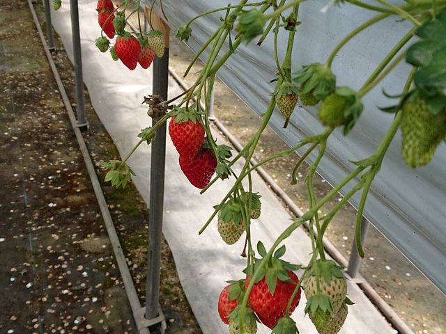 �����������ł��B_���G��������