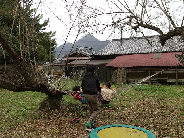 nbNɎqсI_񂾔_(݂̂)̗