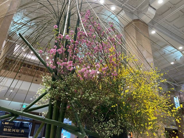 ���{��������S.C._���{��������S.C.