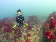 悵̃_CrOVbvKIAORAւ̓eʐ^1