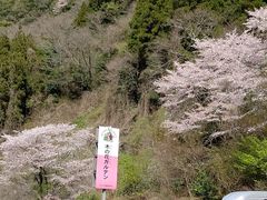 sakky̖؂̉ԃKeւ̓eʐ^1