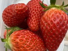 Ђ낳̂_sAbc@ւ̓eʐ^2