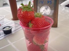 K[f'ohelo papa'(Iwpp)̎ʐ^2