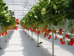 Ȃ̃_NoYt@[ւ̓eʐ^1