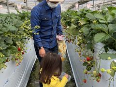 񂽂܂̃zeBL˂ւ̓eʐ^1