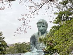 �A�R����̃~���N���~�z�̊��q�U���c�A�[�ւ̓��e�ʐ^1