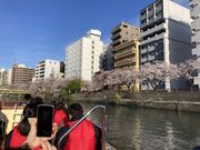 tk����̃��N�g���x���̓��e�ʐ^3