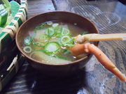 񂳂̃Jj\Gh@̓eʐ^13