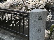 Shota̍iVDՁj̓eʐ^1