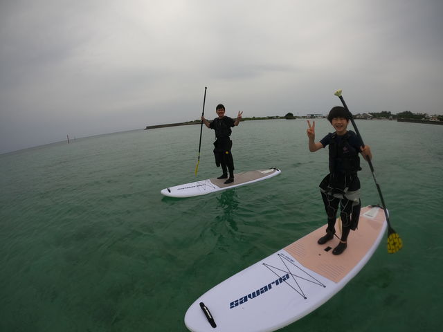 ���T�b�v_����S���_�C�u