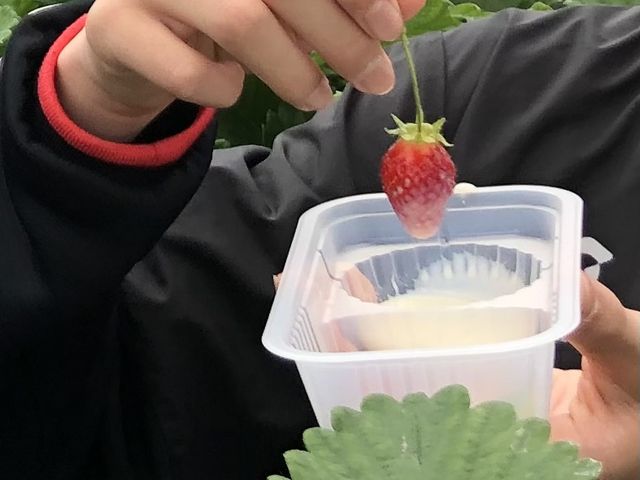 ���ꂪ��ԑ傫��䕂ł����B_�R���������_��