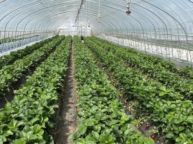 �ݐ؏�Ԃł����B_�����_��