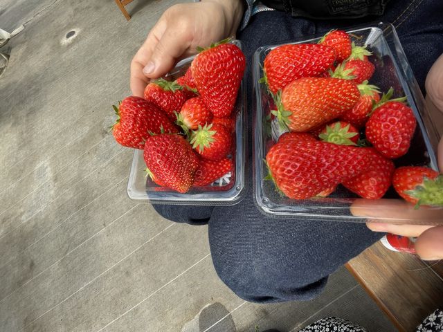 ��������30���ł��t���[�c���D���Ȑl�Ȃ�30���炢�y���b�ƐH�ׂ��܂��I_�֍��_��