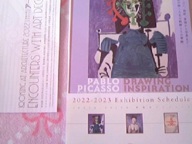 �`���V�ƃp���t_�p�i�\�j�b�N�������p��