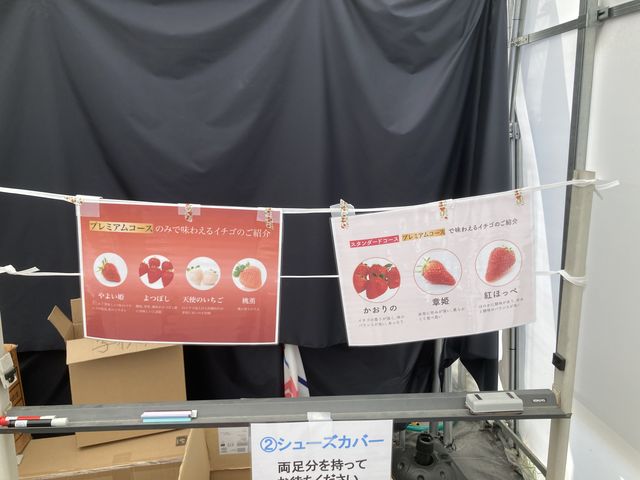 �V���[�Y�J�o�[�����āA�n�E�X�֓���܂�_���ЗY�_��