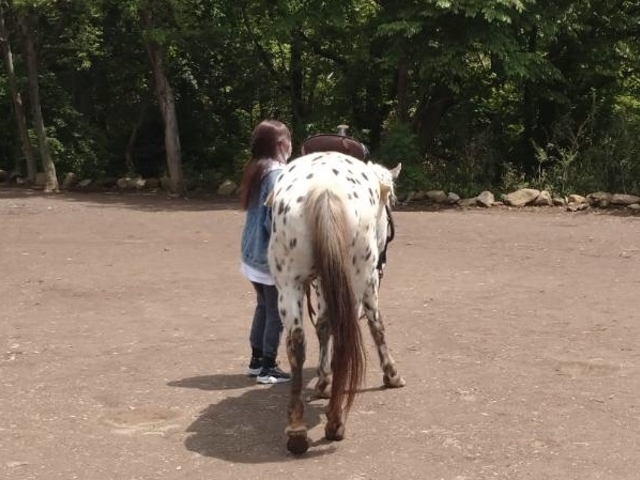 �A�p�����̌��p_HORSE BASE